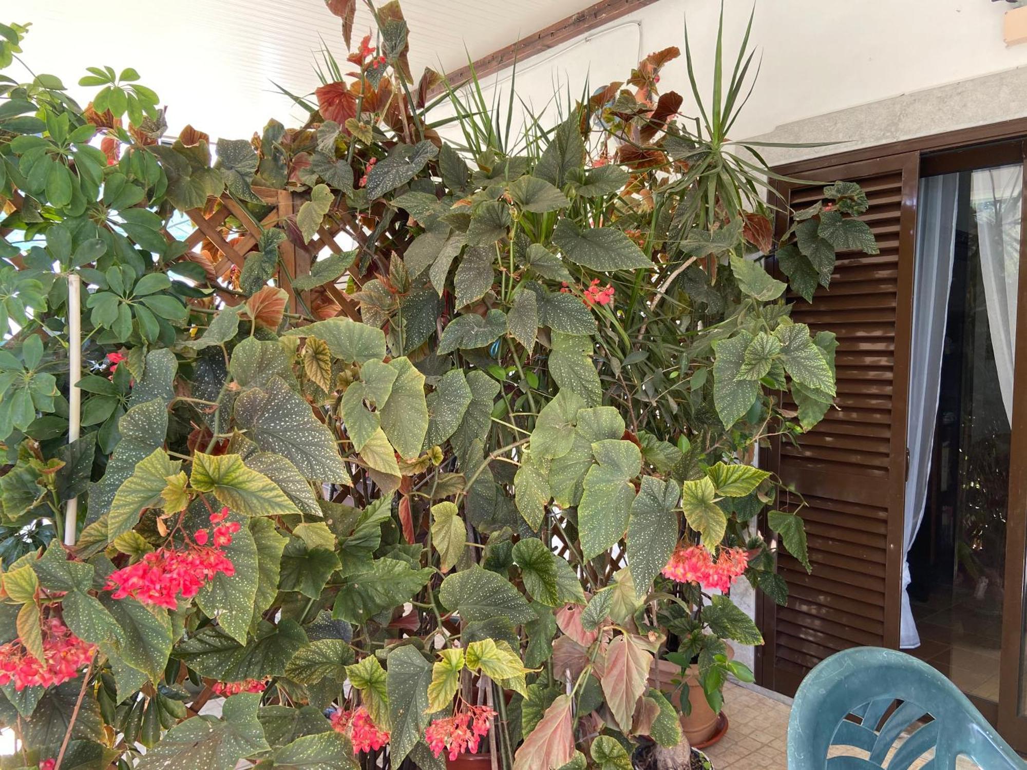 A Casa Da Maria Villa Luz de Tavira Luaran gambar